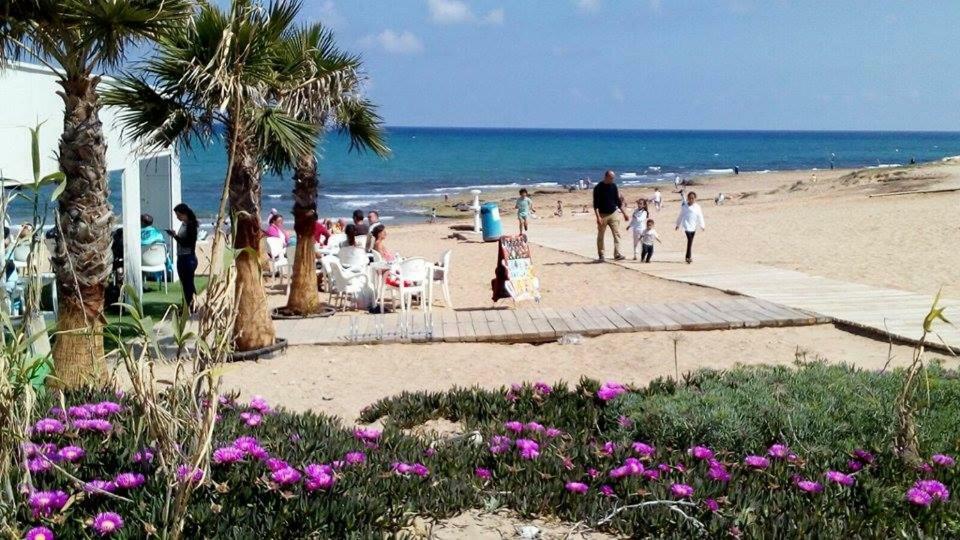 La Mata Beach Apartment Dış mekan fotoğraf